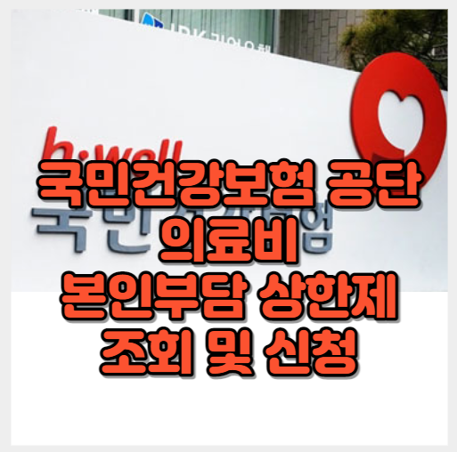 국민건강보험공단 의료비 본인부담상한제 조회 및 신청 썸네일