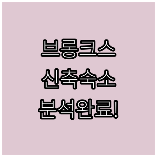 뉴욕 브롱크스 동물원 근처 신축 호텔..