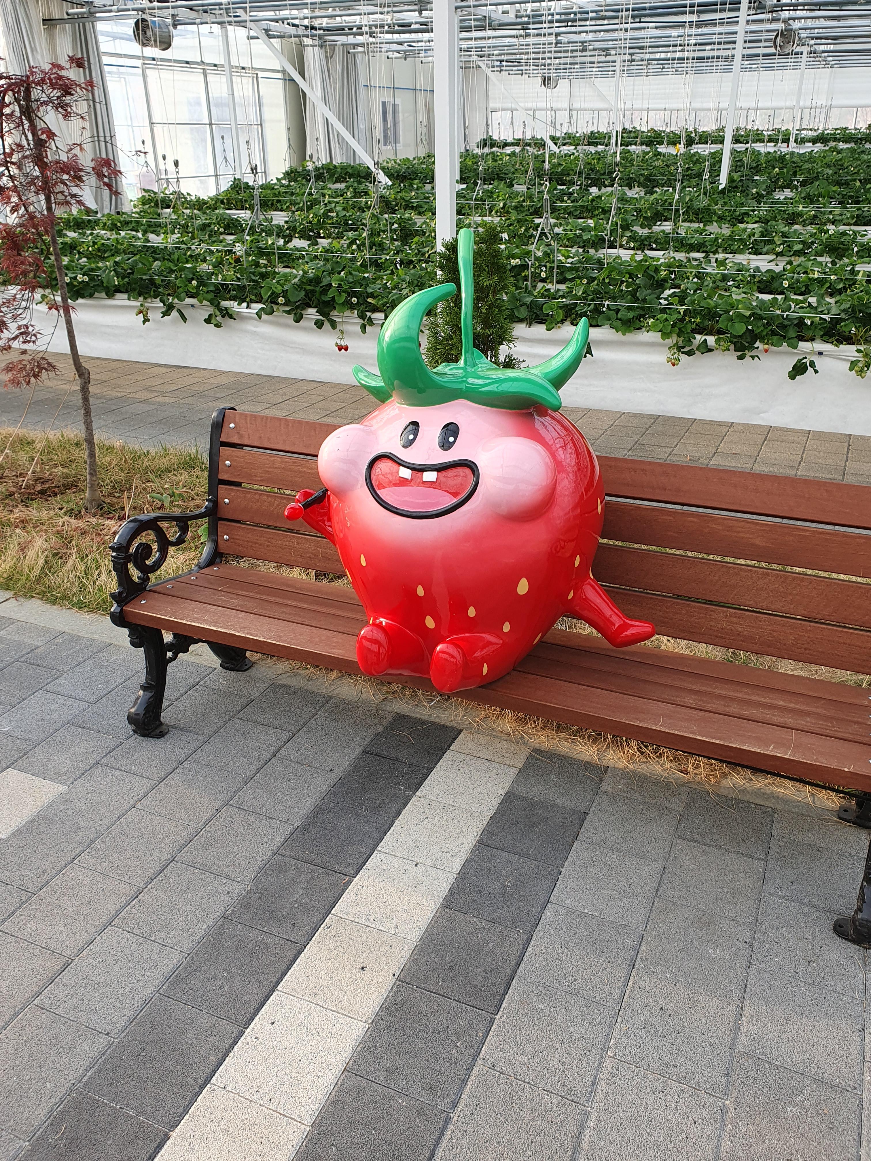 온실안에 이렇게 딸기 캐릭터도 있습니다.