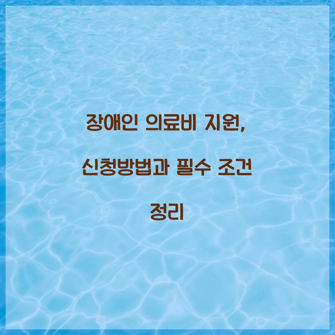 장애인 의료비