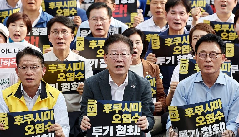 이재명 대표와 더불어민주당