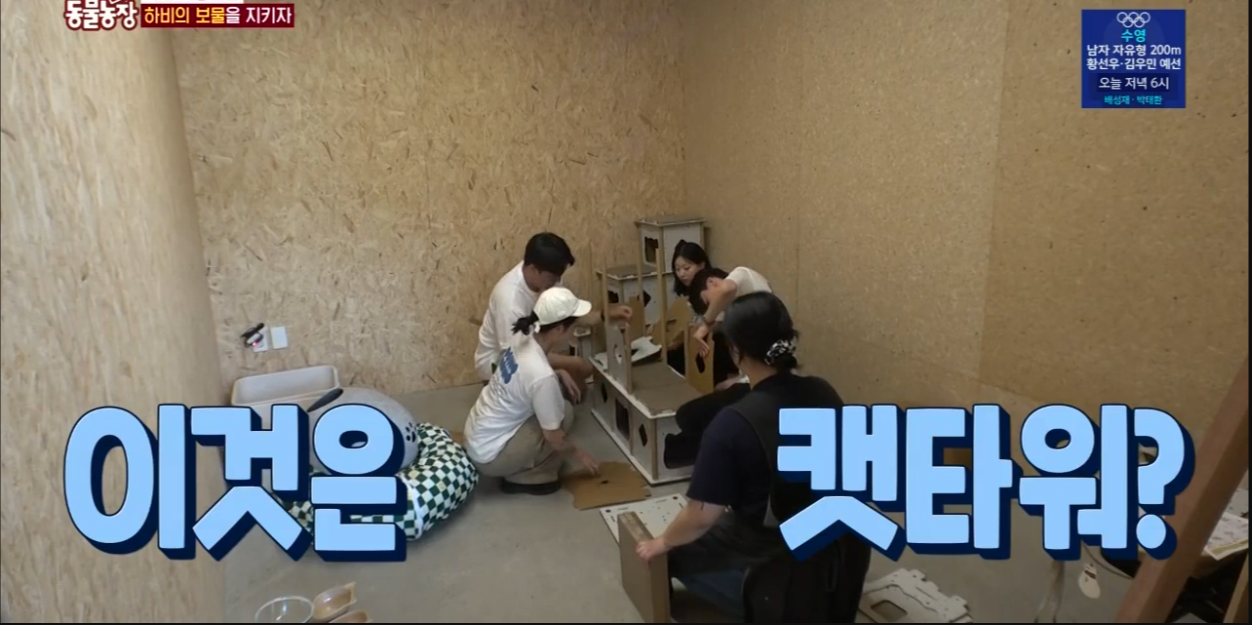 동물농장