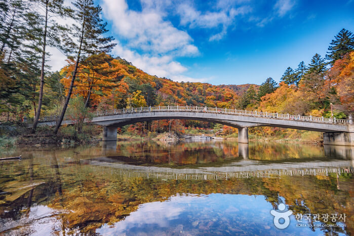 전국 단풍명소, 절정시기
