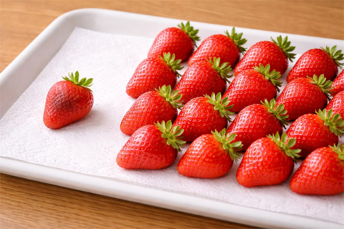 키친타월 위에 한 겹으로 펼쳐 물기를 말리는 딸기