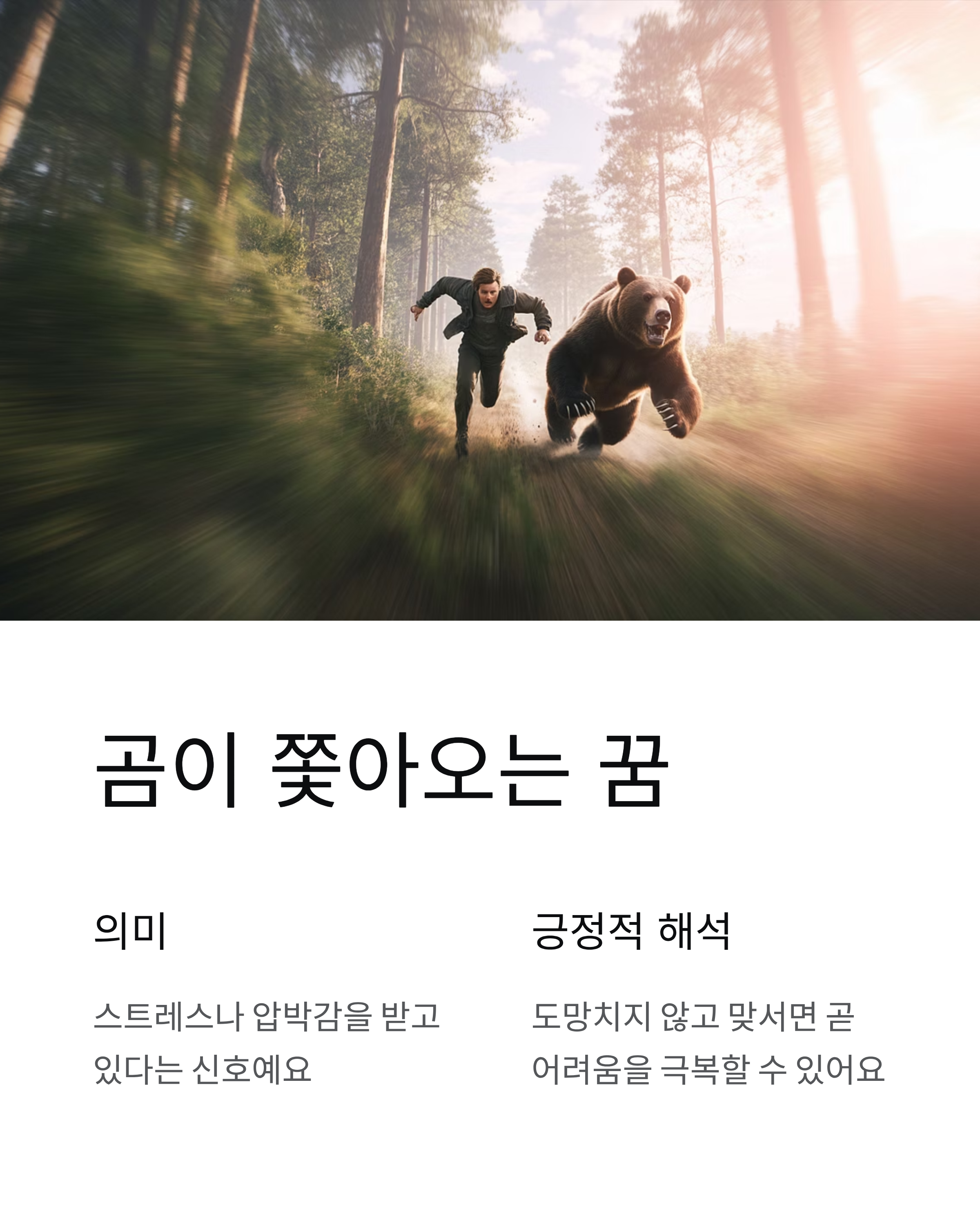 곰꿈 해몽 완전정복! 당신의 꿈속 곰이 말하는 진짜 의미