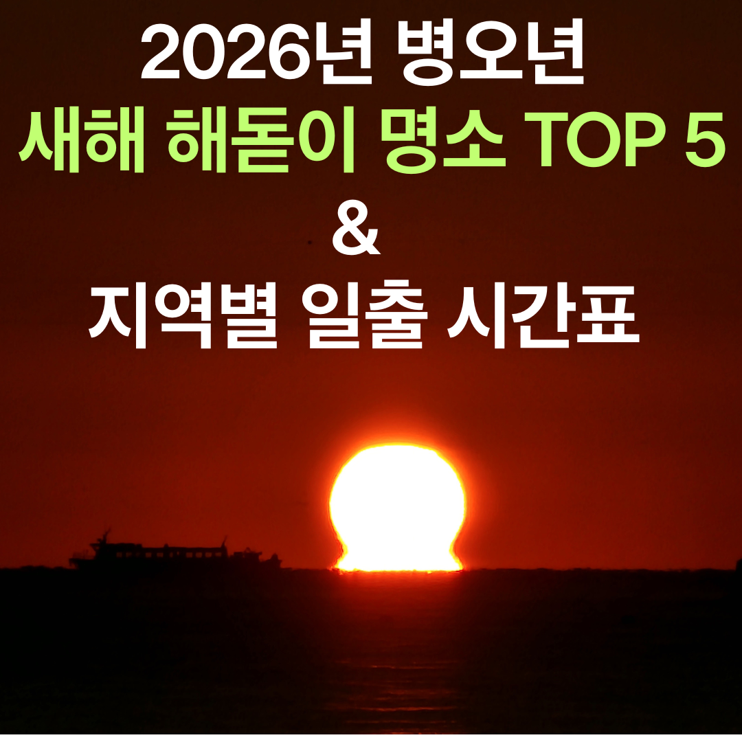 2026년 병오년 새해 해돋이 명소 TOP 5 &amp; 지역별 일출 시간표