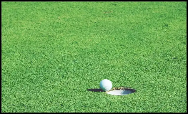 파크골프의 기본자세 (+ 퍼터 )