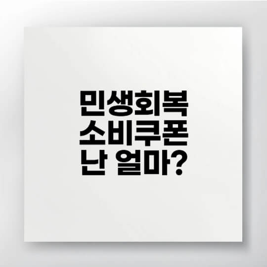 2025년 민생회복 소비쿠폰 지급 대상 및 사용처 안내 이미지