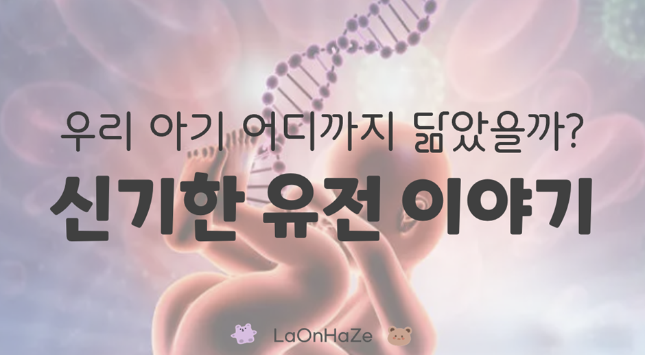 신기한 유전 이야기 관련 사진