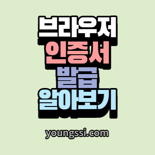 브라우저 인증서 발급 알아보기
