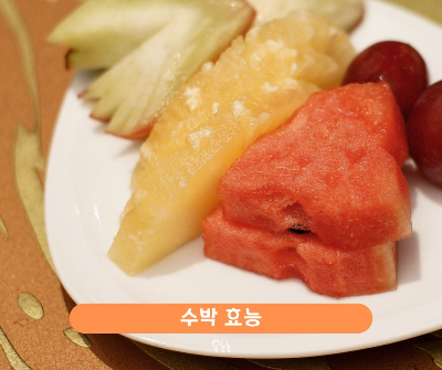 수박 효능