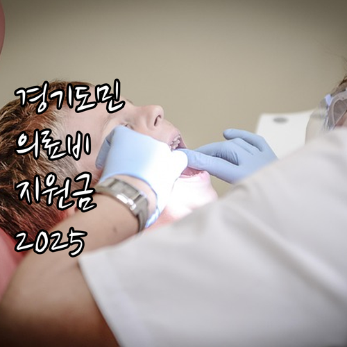 경기도 의료비 지원 2025: 몰라서..