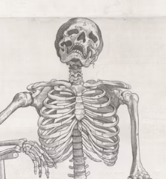 목 디스크 진단 기준 치료법 예방법