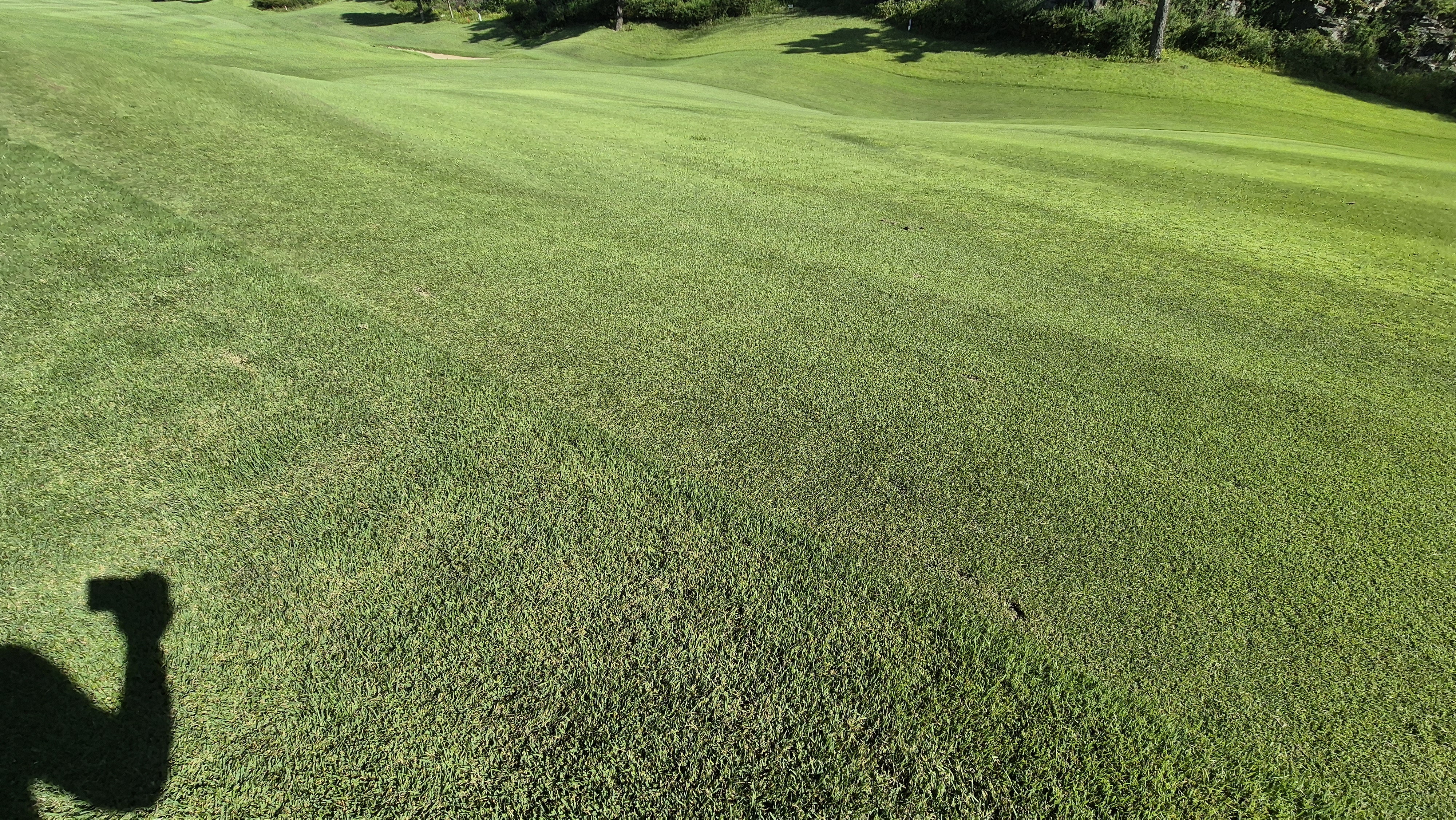 골프존카운티 천안 라운드 후기