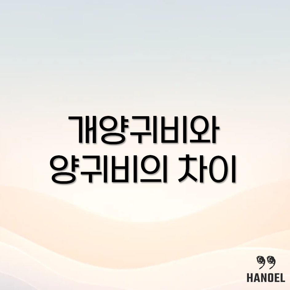 개양귀비와 양귀비의 차이