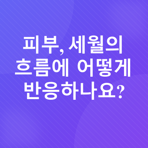 피부 노화_1