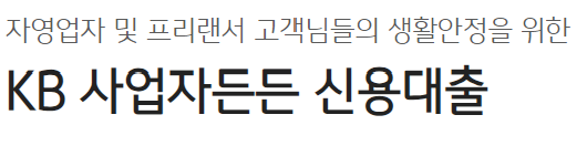 국민은행 사업자대출