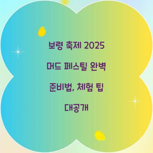 보령 축제 2025 머드 페스티벌