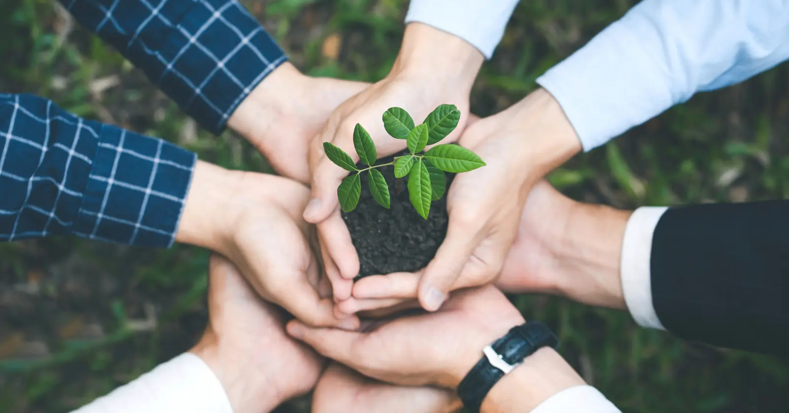 음식물처리기 지원금 조건