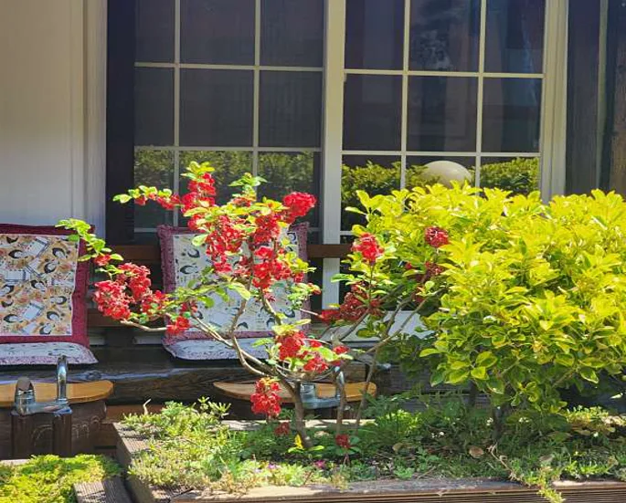 예와담 한방족욕