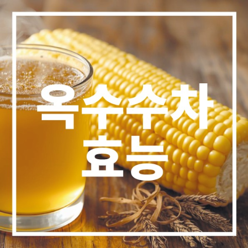 옥수수차 효능