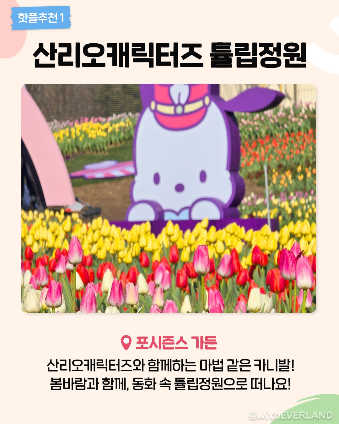 핫플추천 산리오캐릭터즈 튤립정원