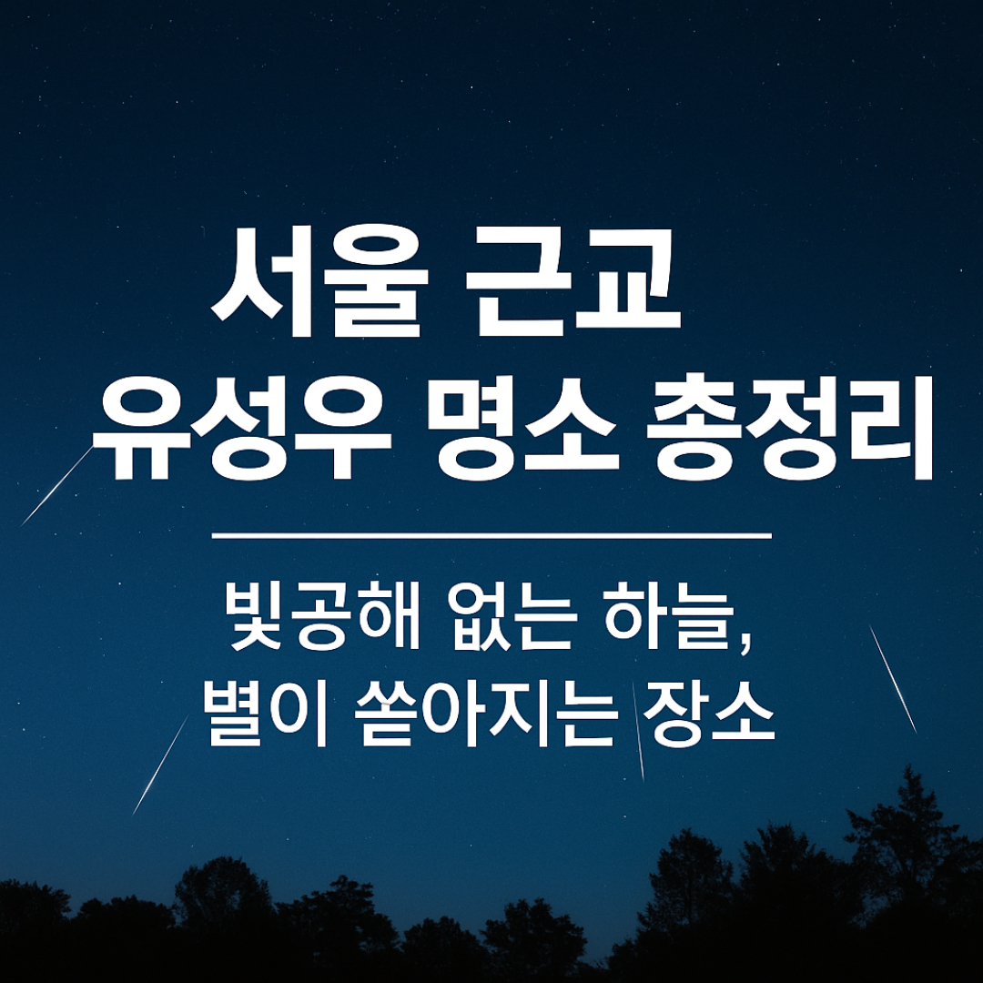 서울 근교 유성우 관측치 추천