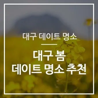 대구 데이트 코스 추천 연인과 특별한 하루 보내는 방법_13