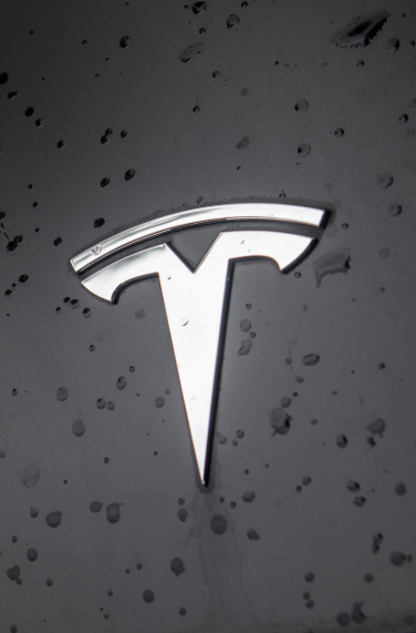 AI 서비스 응용 분야 중 하나인 테슬라 로고