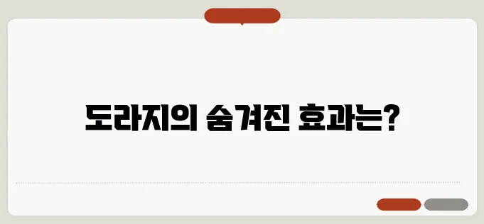 도라지 효능과 요리법 기관지 건강에 좋은 전통 식재료