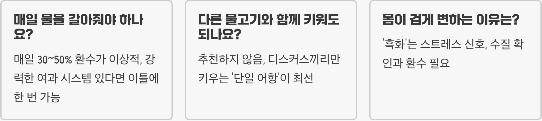 열대어의 황제, 디스커스가 최고의 관상어인 이유