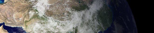 김신영 나혼산 조작 논란 해명 및 하차설 진실 총정리