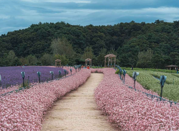 철원 가볼만한곳 베스트10