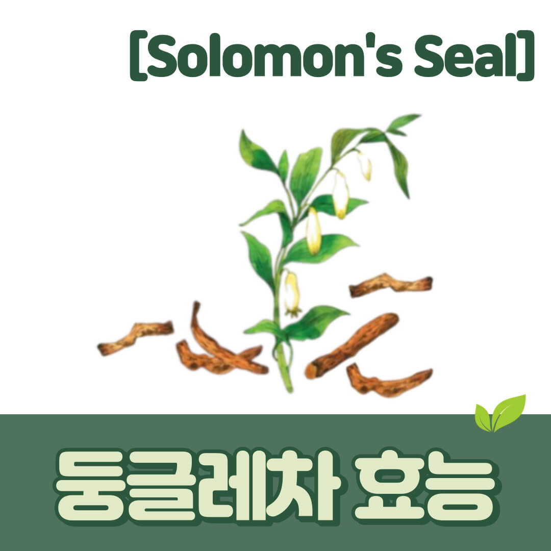 둥글레