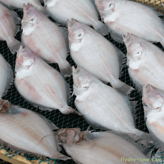 혈관 건강 및 피부에 좋은 가자미