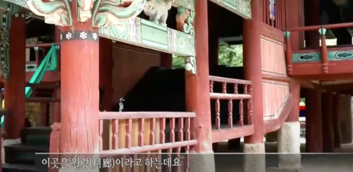 월랑, 복도