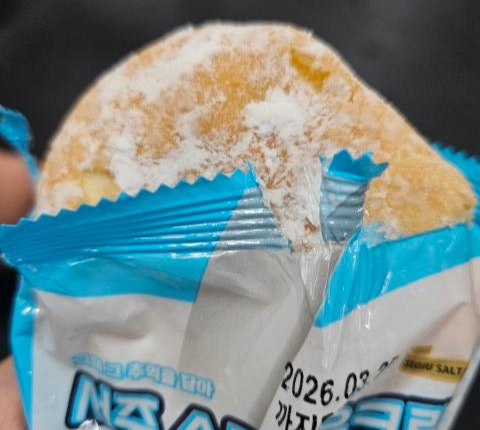 우유크림 도넛 사진