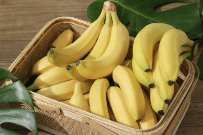 장염 빨리낫는법 장염 증상 좋은 음식 알아보기(24년 Ver)