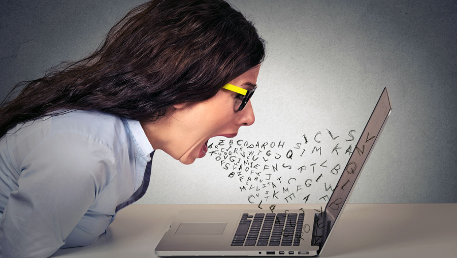 인터넷 기사의 댓글 내 악플