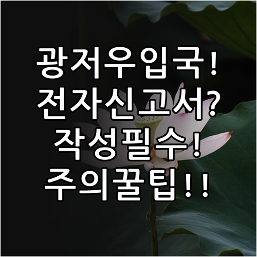 해외 여행 필수 광저우 입국 전자 신..