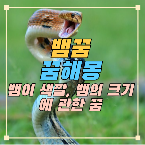 뱀꿈 꿈해몽