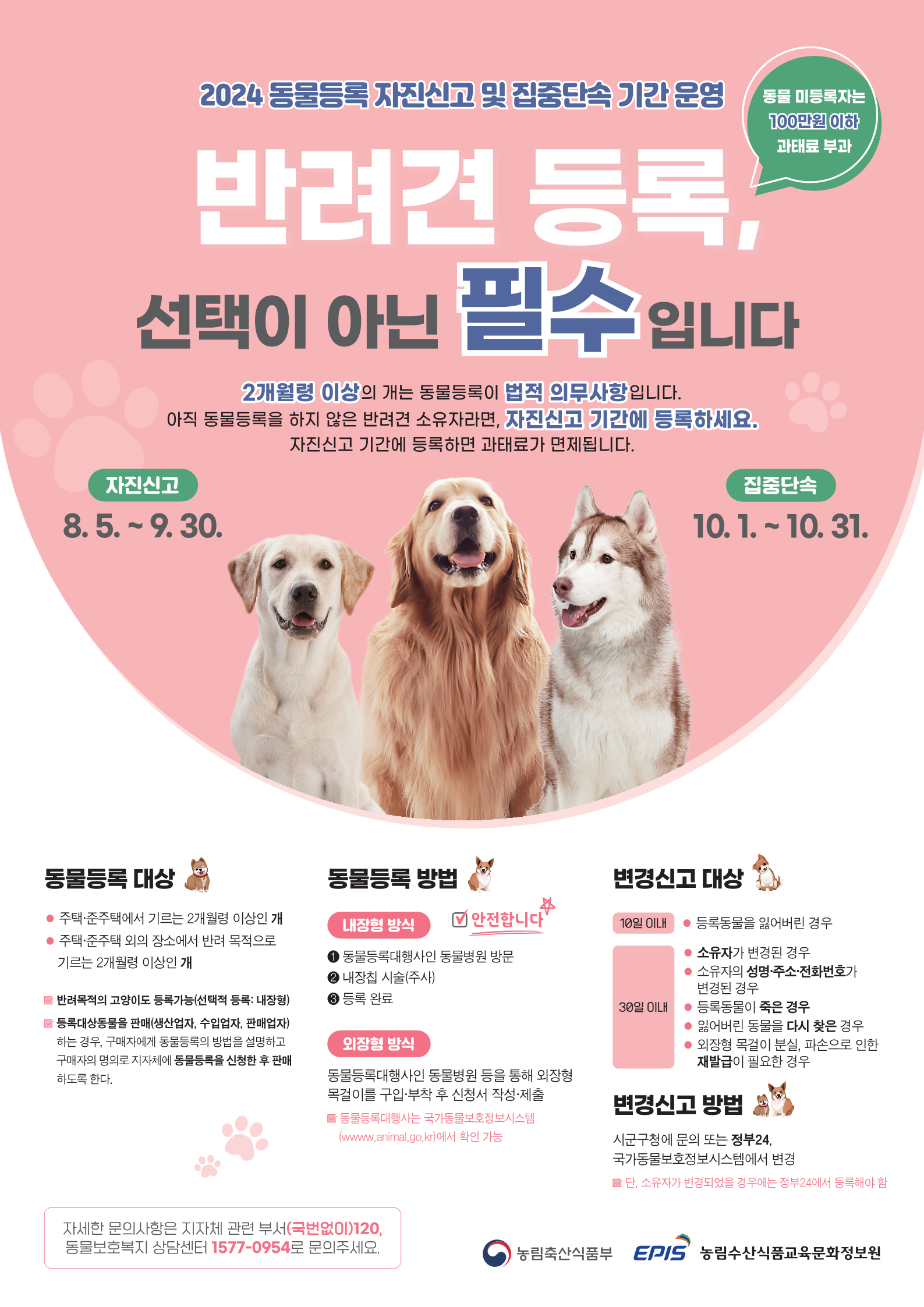 강아지 등록방법