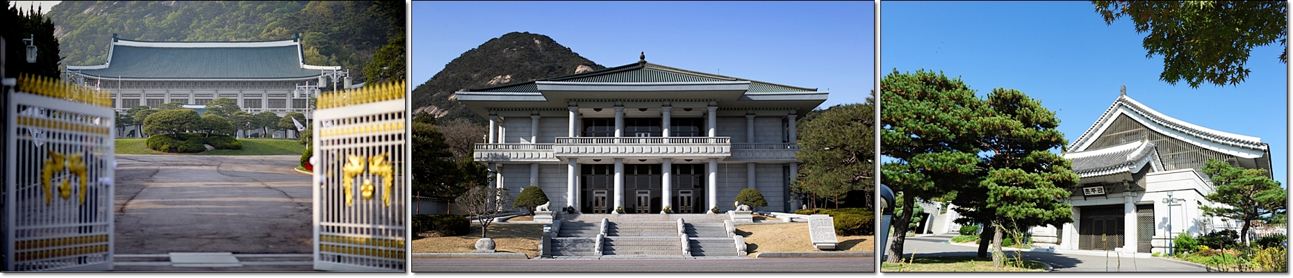 출처 청와대 국민품으로