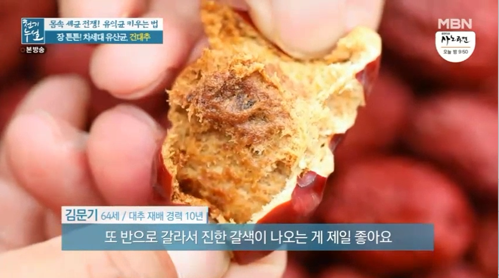 대추 사과대추 효능 대추차 생대추 건대추 고르는법 칼로리 보관법