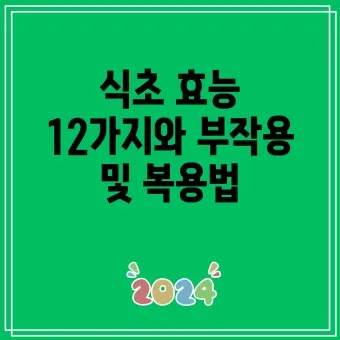 식초 복용법 정리 위장에 미치는 영향 총정리_9