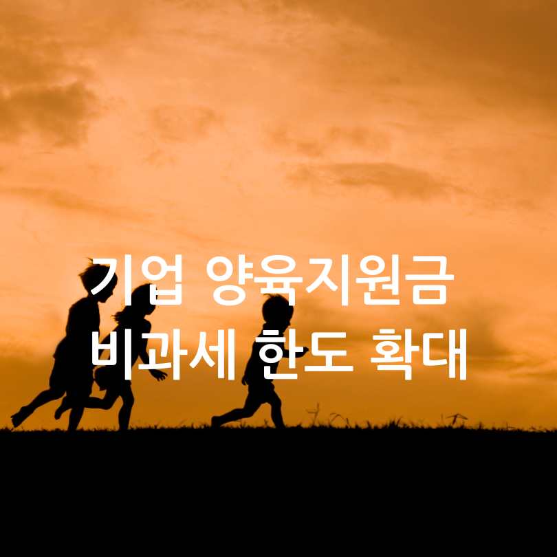 다자녀가구 혜택 : 공항 패스트트랙