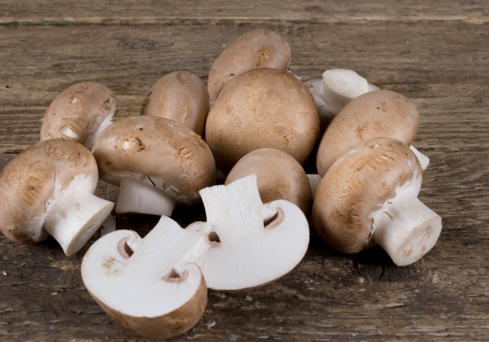 양송이버섯 보관방법