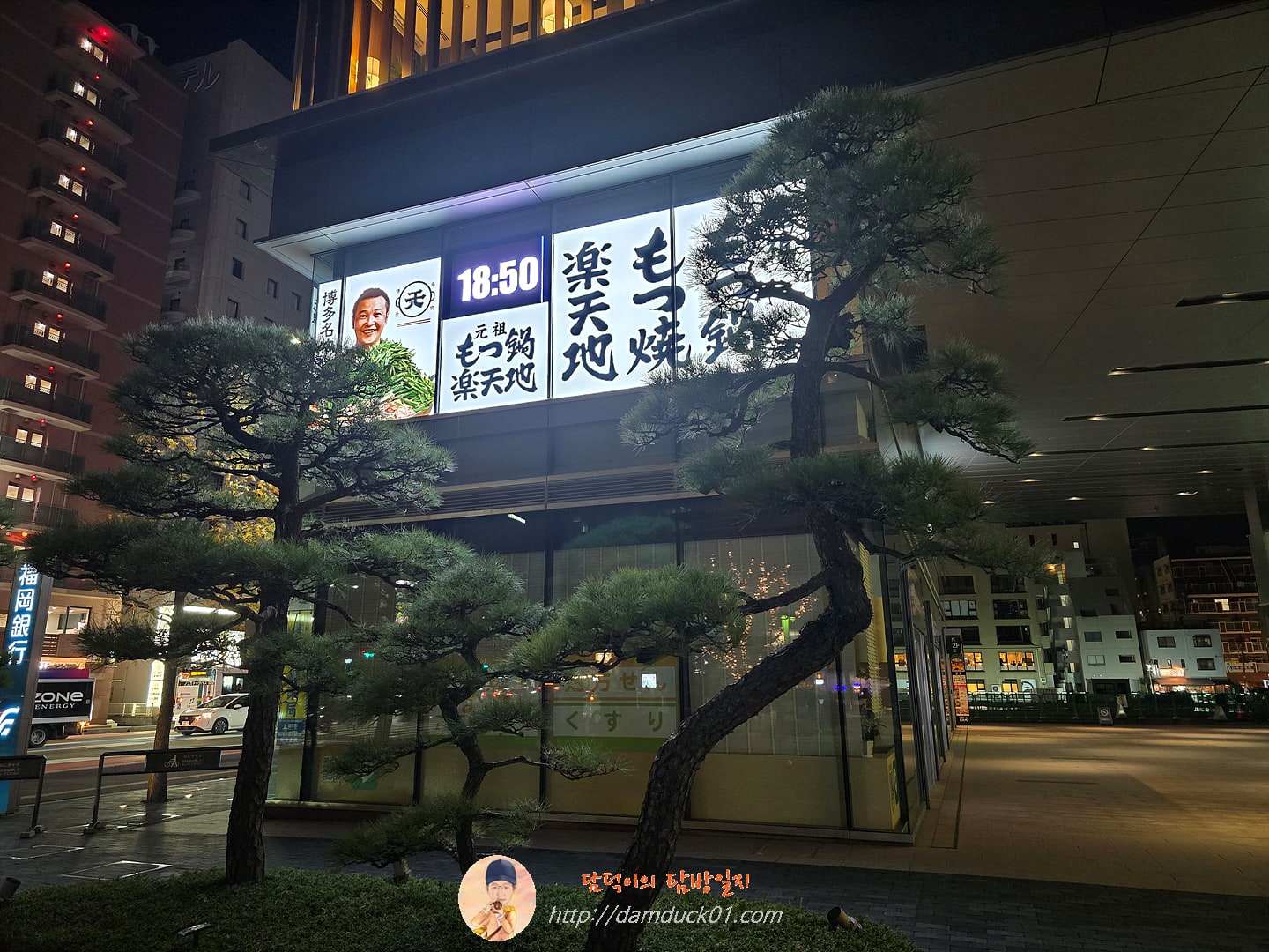 Motsunabe Rakutenchi Hakata ST-2 BR