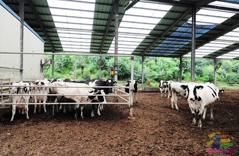 익산 가볼만한곳 베스트 10