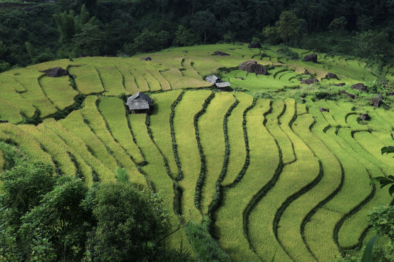 베트남 사파 관련 사진